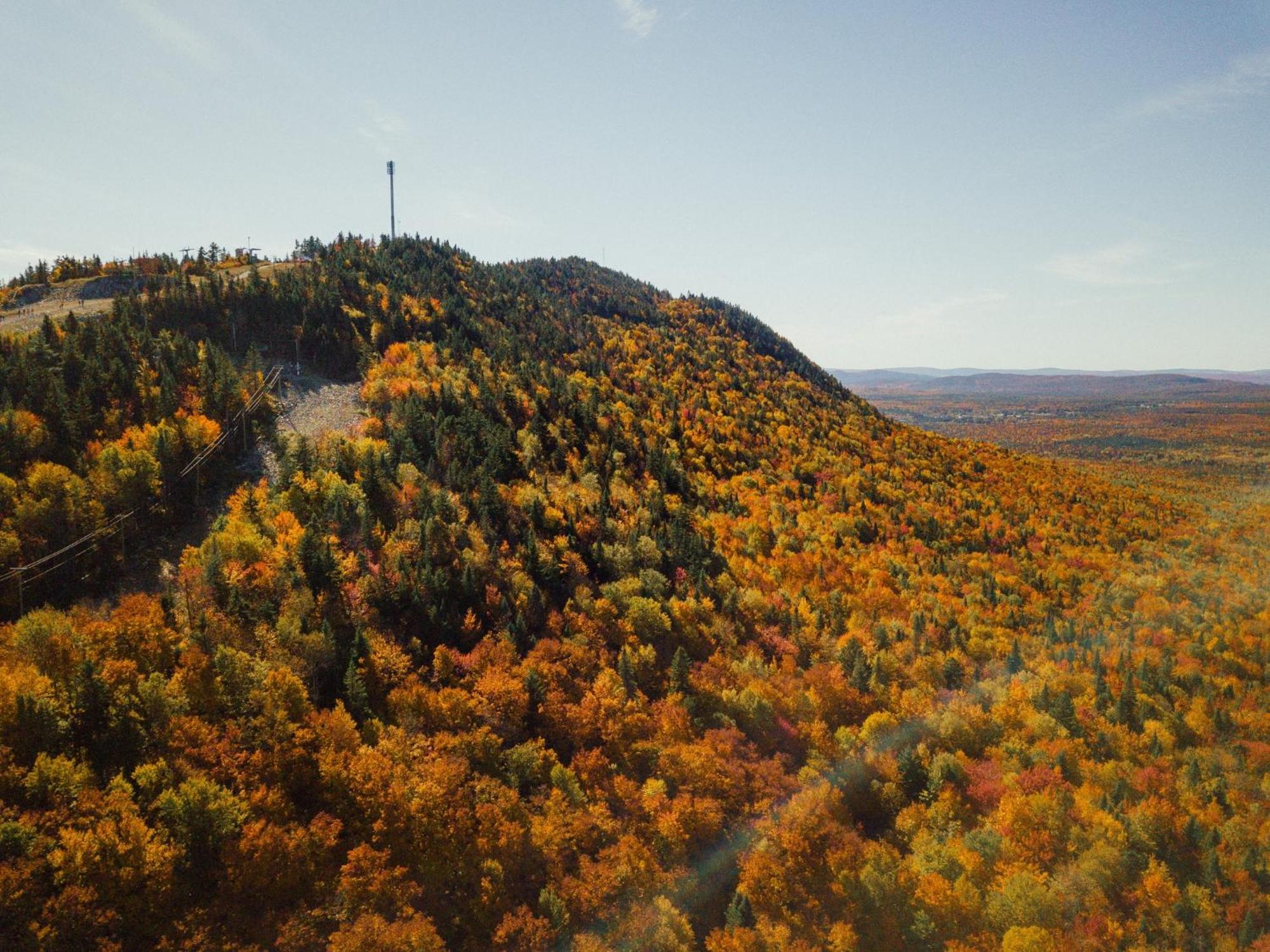 Le Hygge - - Golf - * Thetford Mines